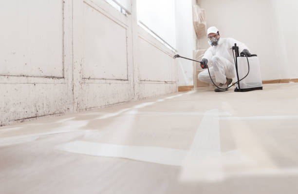 24/7 Emergency Commercial Mold Remediation experts in Richardson, TX